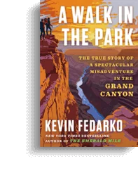 Miss May Does Not Exist Book Cover